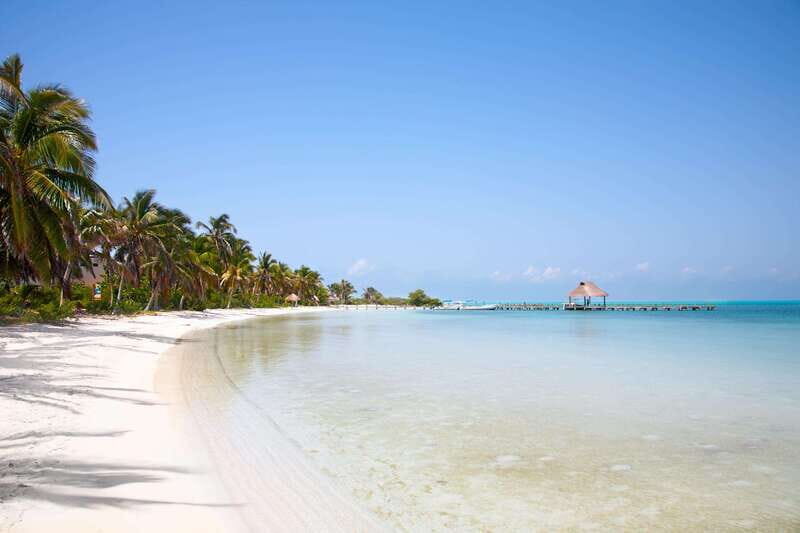 Full Day Nature Expedition to Contoy Island and Isla Mujeres - Contoy Island Nature Reserve: Limited Access Is the Whole Point