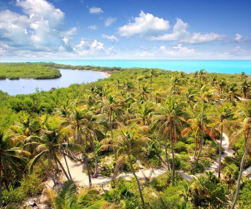 Full Day Nature Expedition to Contoy Island and Isla Mujeres - Snorkeling and Swimming: Crystal Water, But Bring a Plan B