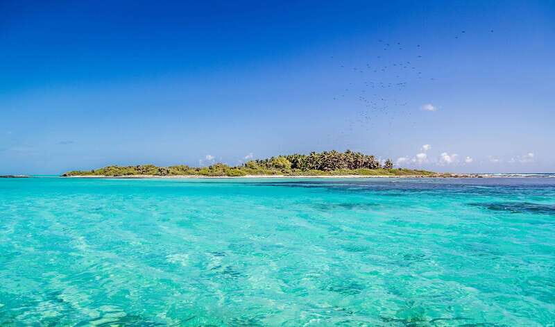 Full Day Nature Expedition to Contoy Island and Isla Mujeres - Lunch and the Breakfast Snack: What Is Actually Included
