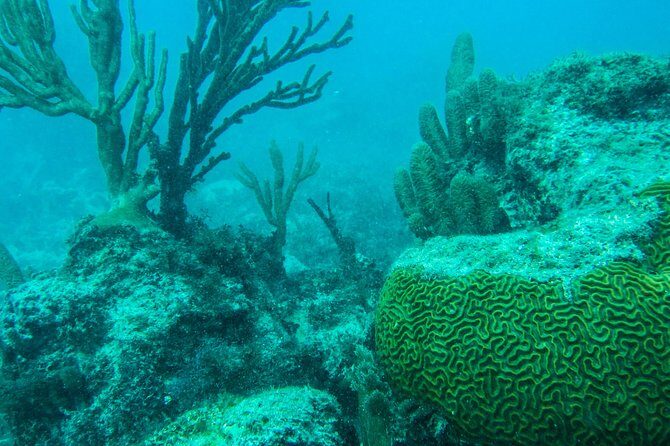 Full-Day Sailing Trip to Mujeres Island from Playa del Carmen - The 40-Minute Sail: Snacks, Photos, and the Open-Bar Flow