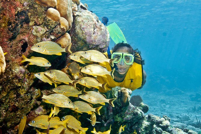 Full-Day Snorkel Extreme Adventure Tour from Riviera Maya - A Full-Day Combo: Sea, Jungle, and an Underground River