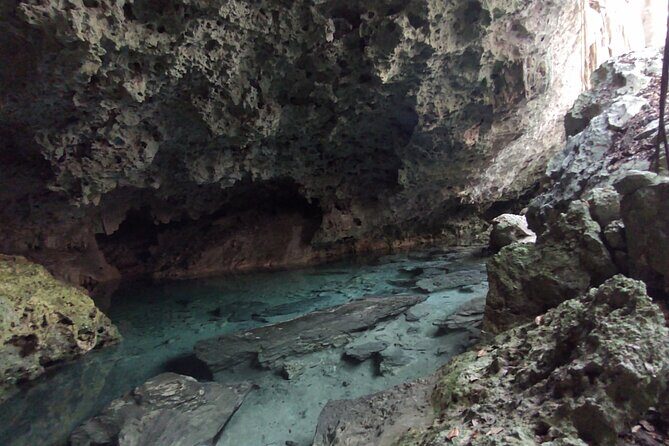 Full-dayTurtle Adventure: ATV, Zipline, Cenote & Turtle Swim - Turtle Swim in a Natural Sanctuary: The Most Memorable Hour