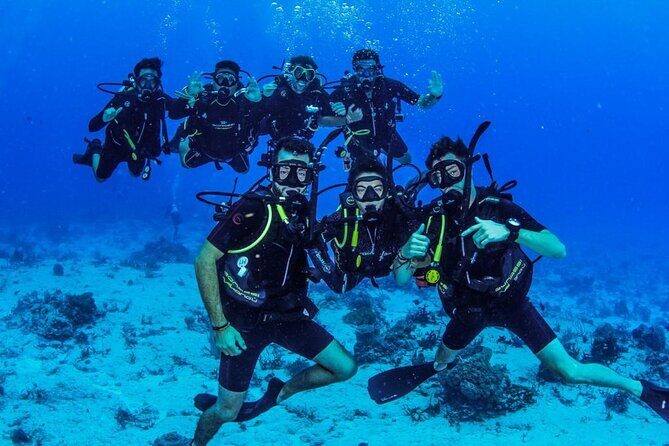 Fun dives Cozumel south marine park - Marine Life Targets and What to Watch For on the Reef