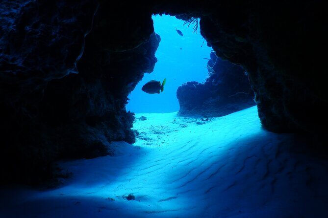FunDiving in Cozumel - By Ferry - 2 Tanks in the wonderful Caribbean sea - Gear, certification rules, and the check-in steps you must plan for