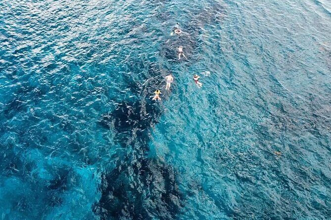 Get to know heaven on earth with Chivis del mar private - Private Chivis del mar snorkeling: what you’re really paying for