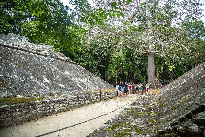 Half a Day Tour to Coba Ruins with Cenote and Mayan Village - Price and logistics: is $89.20 good value?
