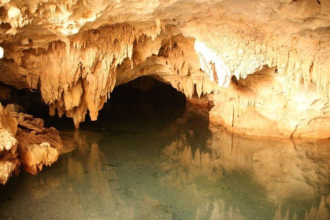 Half day Cave Cenotes Expedition - Price, Lunch, and What Feels Like Value at $109