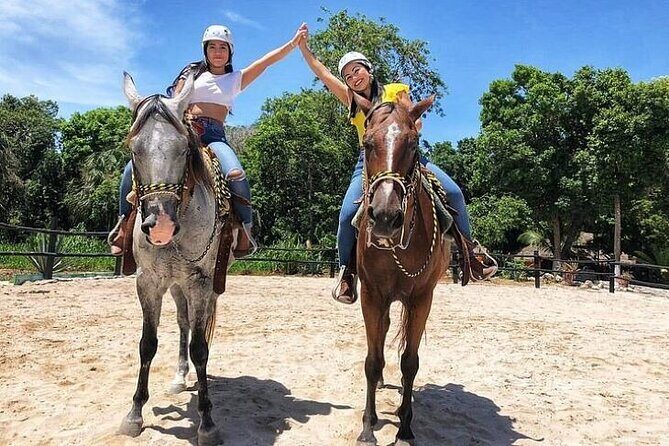 Half Day Horseback Riding Adventure with Cenotes in the Jungle - Price and Value: Is $127 Fair for Tulum Horseback and Cenotes?