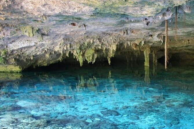 Half Day Horseback Riding Adventure with Cenotes in the Jungle - The Order of Activities and How It Impacts Your Day