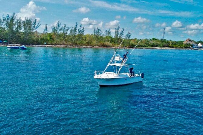 Half Day Private Fishing Charter in Cozumel - Who this Cozumel private fishing charter suits best