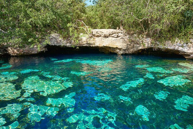 Half Day Private Snorkeling with Turtles and Majestic Cenotes - Akumal Beach snorkeling: your chance at sea turtles and reef life