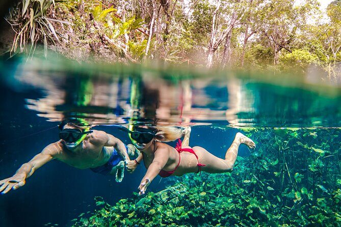 Half Day Private Snorkeling with Turtles and Majestic Cenotes - Meeting point and pickup: getting there without making your day harder