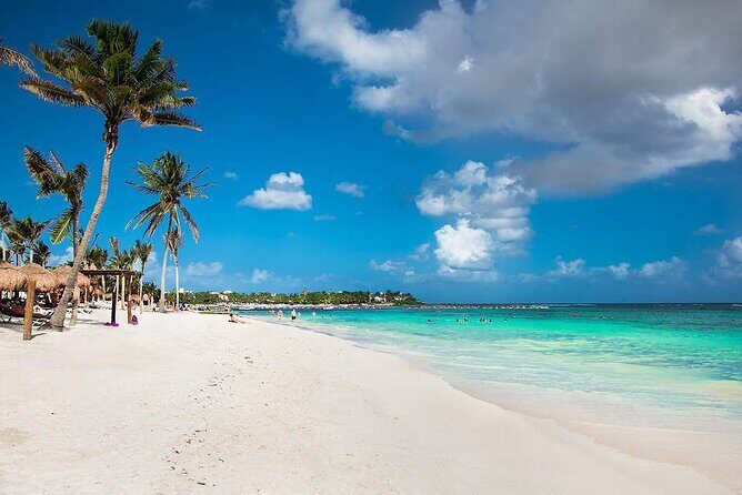 Half Day Private Snorkeling with Turtles and Majestic Cenotes - Price and value: what $220 covers, and what doesn’t