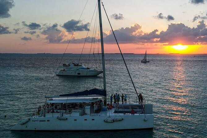 Half Day Sailing at Isla Mujeres from Cancun & Playa del Carmen - Snorkeling at Punta Sam Reef: what you’ll see and who it fits