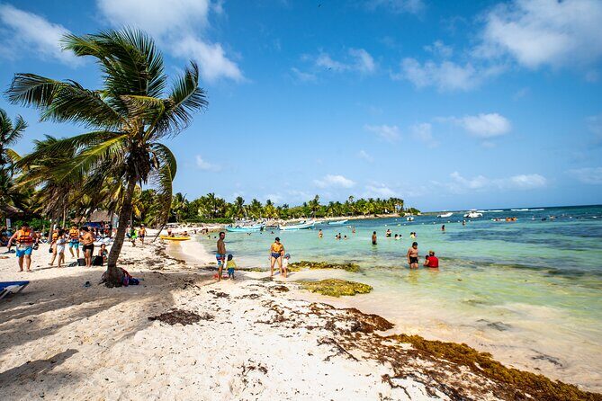 Half-day Tour Sea Turtles Encounter in Akumal Bay - After Snorkeling: Beach Snacks, Drinks, and 2 Hours to Breathe