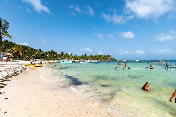 Half-day Tour Sea Turtles Encounter in Akumal Bay - Group Size and Pace: Why Max 14 Travelers Matters