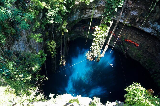 Half-Day Yucatan's Instagram Cenotes PRIVATE TOUR - Key highlights at a glance