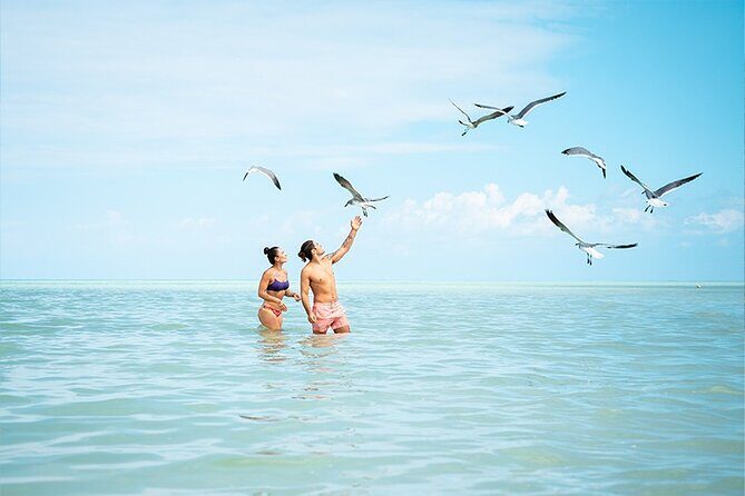 Holbox Island Adventure from Riviera Maya - Isla De La Pasion: Short Beach Time With Birdwatching Payoff