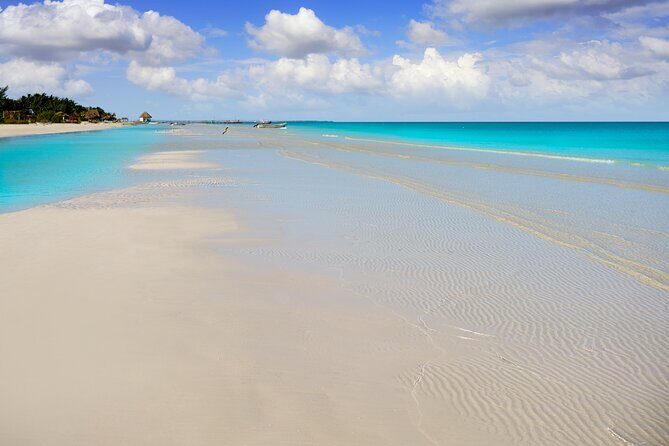 Holbox island: Boat tour & golf cart ride, Lunch and open bar - Lunch, Drinks, and the Beach Hotel Reset