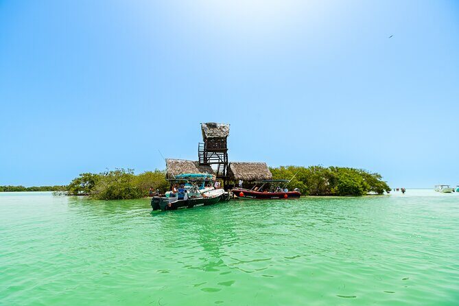 Holbox Island Tour in Mexico with Lunch - Price and logistics: what $110 covers (and what doesn’t)