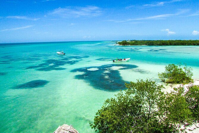 Holbox Island Tour with Pasion Island and Punta Mosquito - Key highlights before you go
