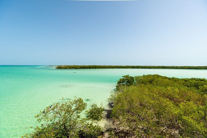 Holbox Island Tour with Pasion Island and Punta Mosquito - Price and value: what $119.69 covers (and what it doesn’t)