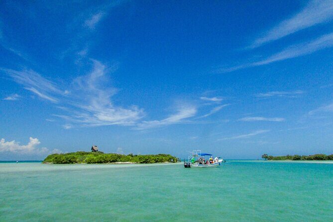 Holbox Island Tour with Pasion Island and Punta Mosquito - Who this tour is best for (and who should skip it)