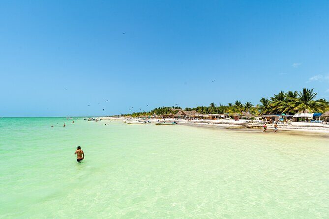 Holbox Island Tour with Pasion Island and Punta Mosquito - Punta Mosquito: quieter nature, flora and fauna time