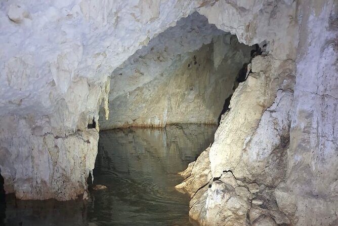 Horse Ride to Cenote Mil Columnas - Price value: what $104.73 buys you in real terms
