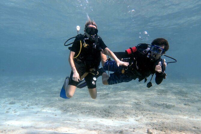 Introductory Diving Class in the Cozumel Reefs - Key things to know before you go