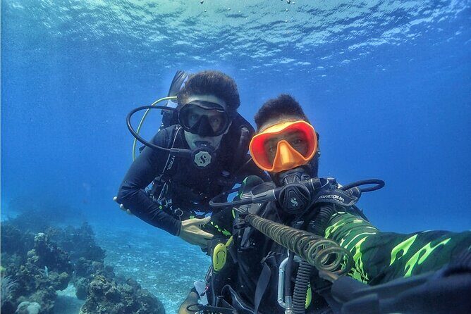 Introductory Diving Class in the Cozumel Reefs - Gear and basics: the instructor-led mini class that makes or breaks it