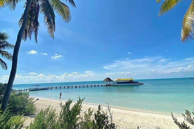 Isla Contoy Adventure Tour & Isla Mujeres from Playa del Carmen - Catamaran time: the reef stop and what the boat day is like