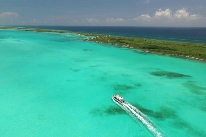 Isla Contoy Adventure Tour & Isla Mujeres from Playa del Carmen - Open bar and buffet lunch: why it matters on a long day