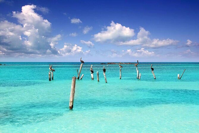 Isla Contoy Adventure Tour & Isla Mujeres from Playa del Carmen - Who this tour fits best (and who should think twice)