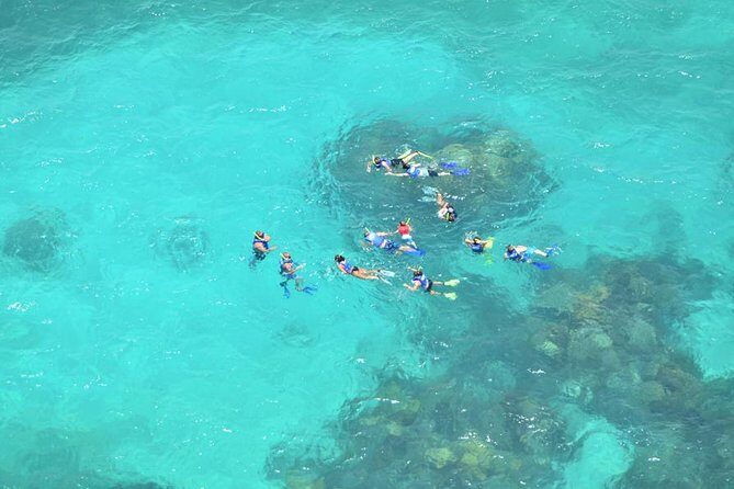 Isla Contoy Adventure Tour & Isla Mujeres from Playa del Carmen - Should you book Isla Contoy and Isla Mujeres from Playa del Carmen?