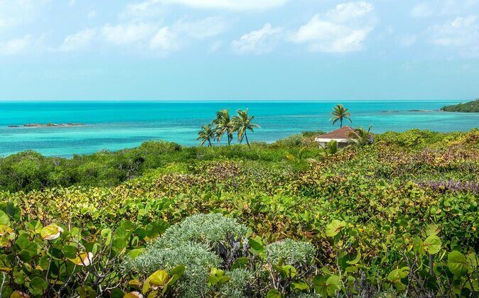 Isla Contoy Hidden Beauty! Transportation from Riviera Maya - Key things that make this day trip worth your attention