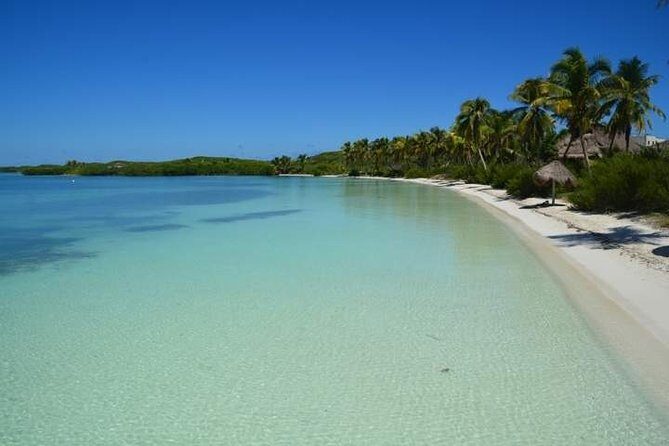Isla Contoy Hidden Beauty! Transportation from Riviera Maya - Getting from Playa del Carmen to the boat: pickup reality and meeting points
