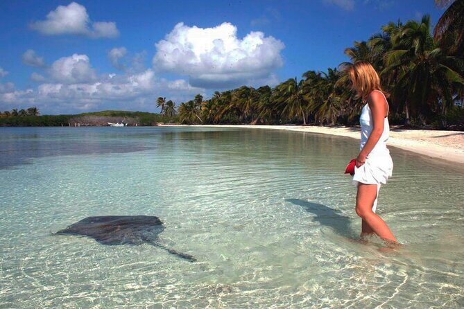 Isla Contoy Hidden Beauty! Transportation from Riviera Maya - Price and dock tax: whether $166 really buys you value