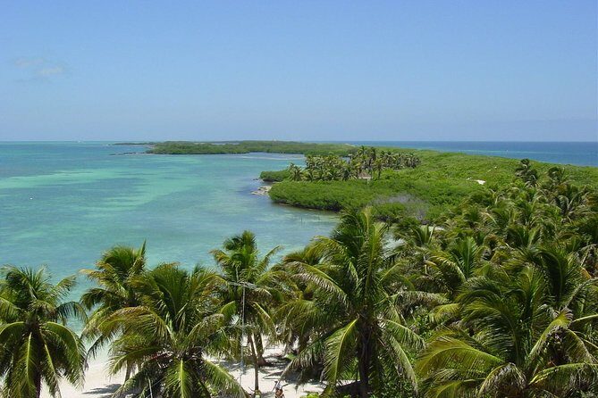 Isla Contoy Hidden Beauty! Transportation from Riviera Maya - English on board: making bilingual guides work for you
