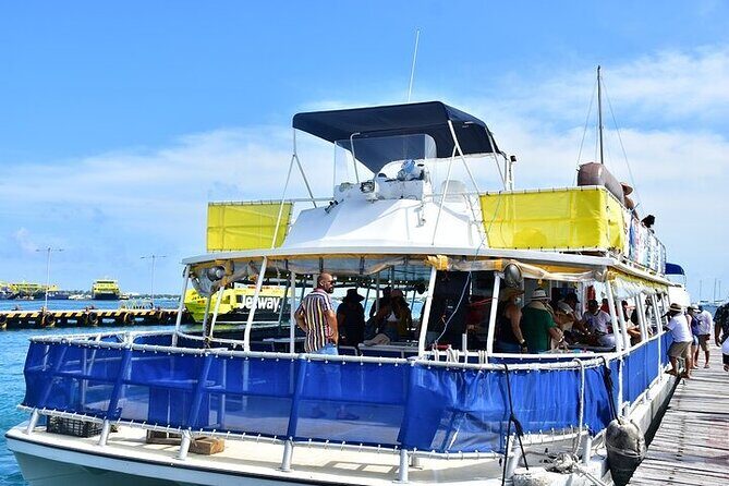 Isla Contoy Hidden Beauty! Transportation from Riviera Maya - Isla Contoy: the protected island that rewards wildlife lovers