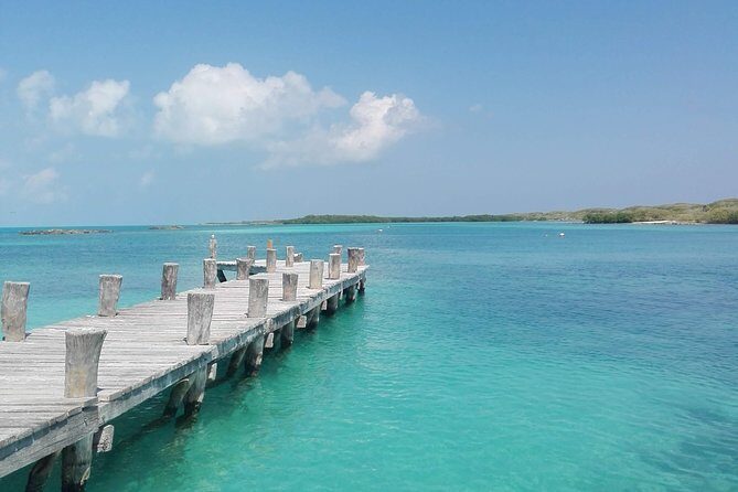 Isla Contoy & Isla Mujeres (from Playa del Carmen) - Snorkeling gear and how to make the most of it