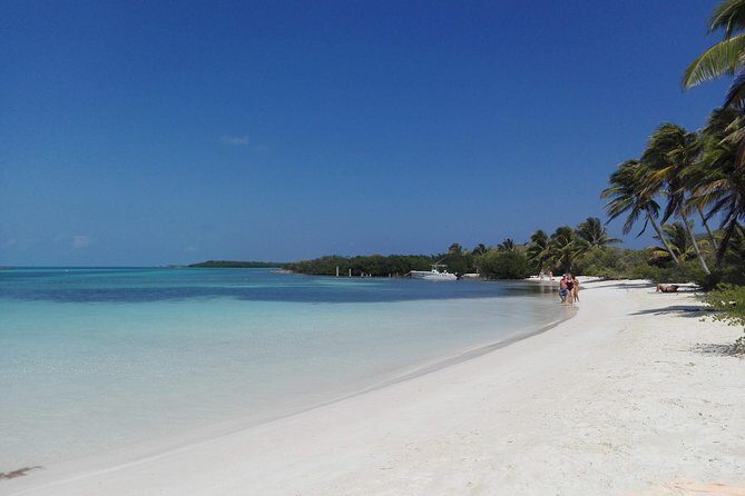 Isla Contoy & Isla Mujeres (from Playa del Carmen) - Isla Contoy National Park: guide-led nature, then your choice of snorkel or beach