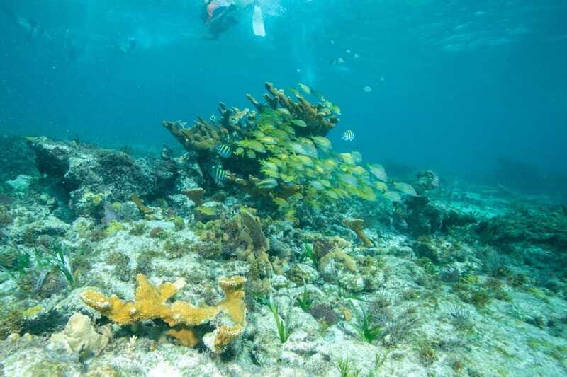 Isla Mujeres: Full Day Private Catamaran with Snorkeling - Lunch at the beach club: where the day gets fuel (and how to not waste time)