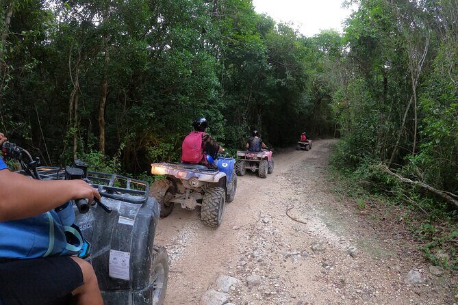 Jungle ATV Adventure: Unveiling Akumal's Enchanting Cenotes - Stop 2: a secluded wildlife cenote break