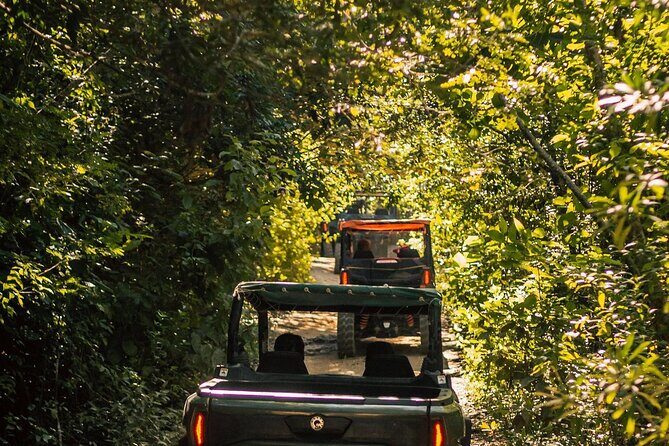 Jungle Buggy Day Tour - Safety and Comfort: Dust, Fitness, and Being Ready for Off-Road Reality
