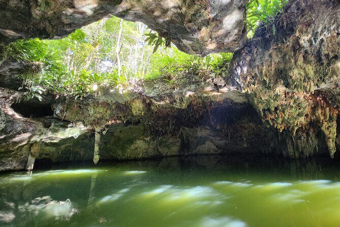 Jungle, Caverns and Tequila Mayan ATV Experience - Jade Cavern cenote: cave water, rock formations, and jungle wildlife