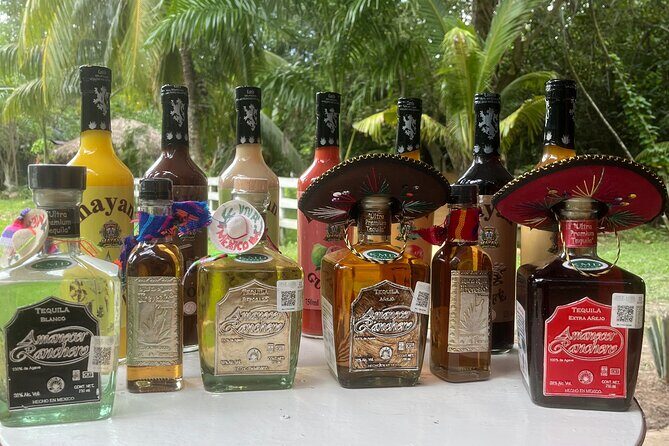 Jungle & Sacred Cenote Quad Adventure - Group Size, Timing, and How to Avoid Tour-Day Stress