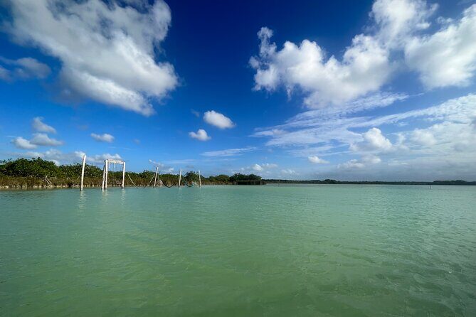 Kaan Luum Lagoon and Cenote Adventure - Wildlife time on the lagoon: crocodiles, birds, and a chill boat vibe