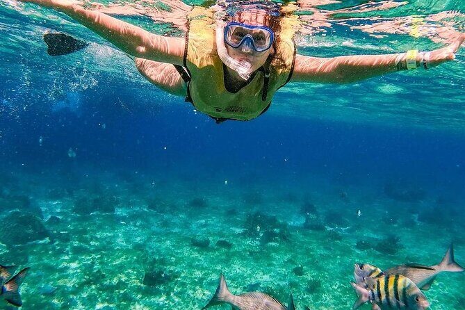 Kaan Luum Lagoon and Cenote Snorkel Tour in Tulum - Three watery zones in six hours: how the day actually feels