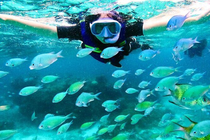 Kaan Luum Lagoon and Cenote Snorkel Tour in Tulum - Price and value: what $79 covers, and what it doesn’t